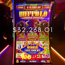 Player Reviews leobet